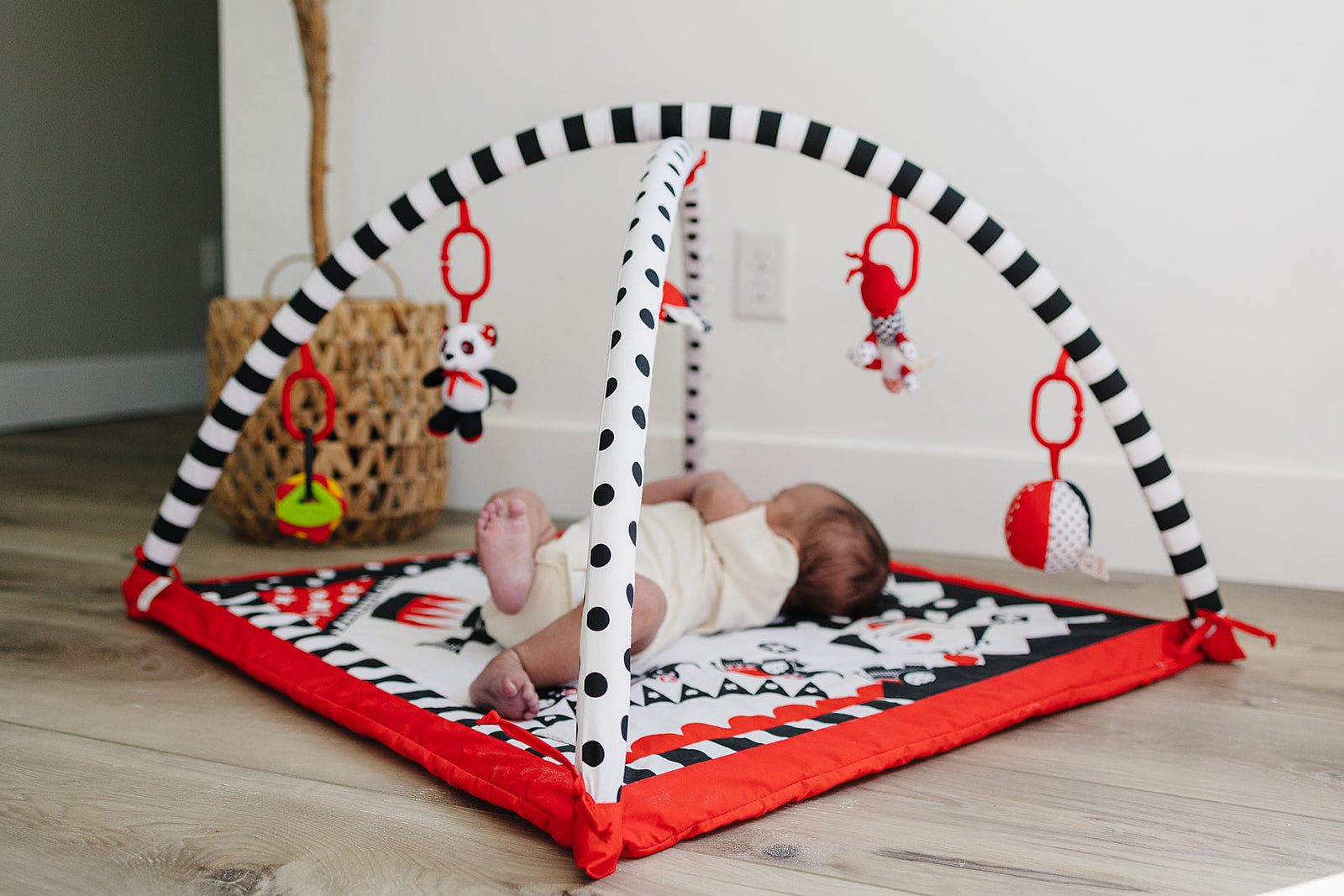 Baby Play Gym and Activity Mat Genius Babies Toys