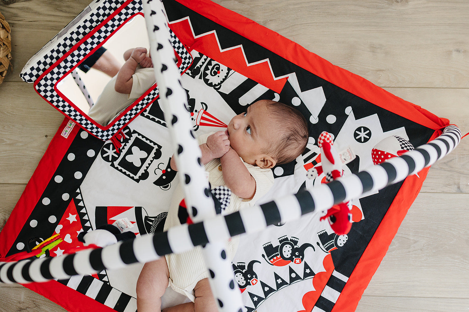 Baby Play Gym and Activity Mat