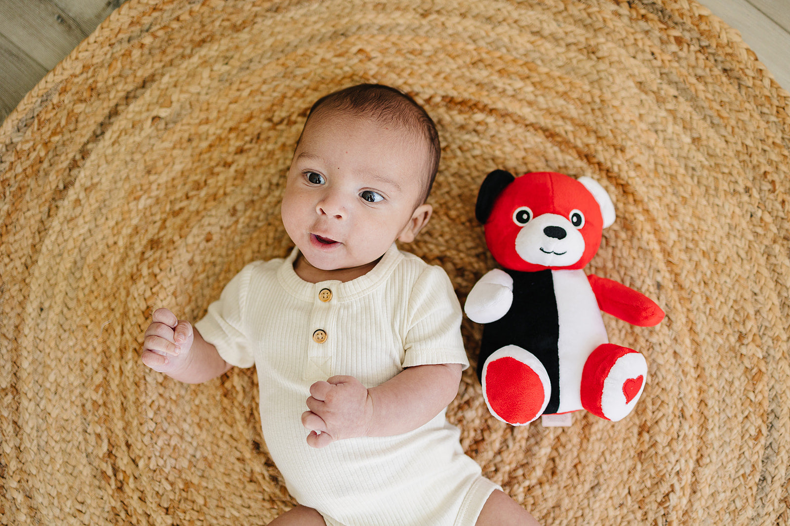 Soft Cuddly Teddy Bear in Plush with Bell and Rattle Inside (8")