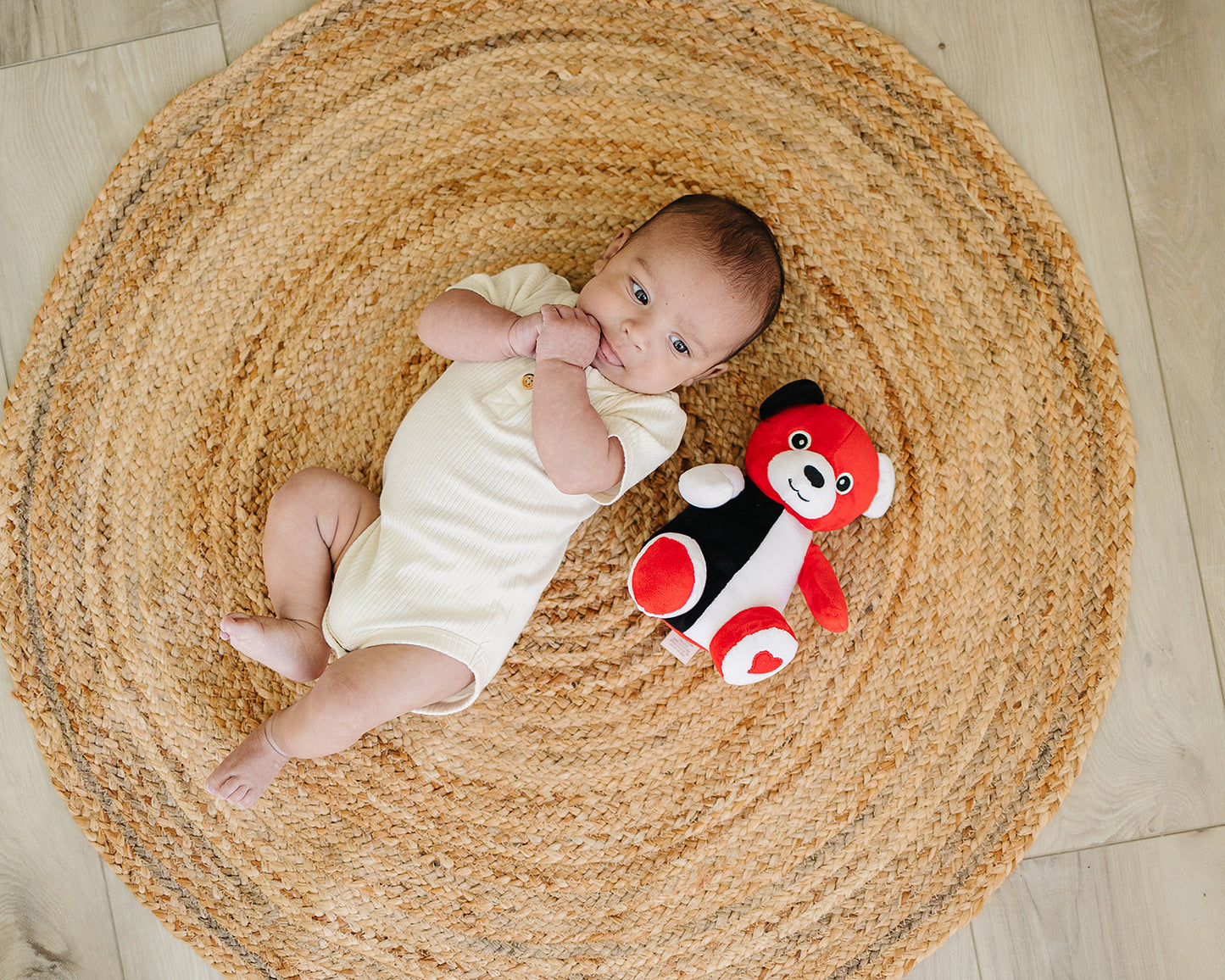 Soft Cuddly Teddy Bear in Plush with Bell and Rattle Inside (8")