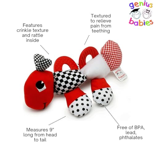 Caterpillar Teething and Sensory Toy in Black, White and Red, 9 – Genius  Babies